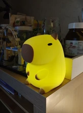 Capybara Squishy Night Light - Perfect Gift 🎁 photo review