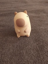 Capybara Squishy Night Light - Perfect Gift 🎁 photo review